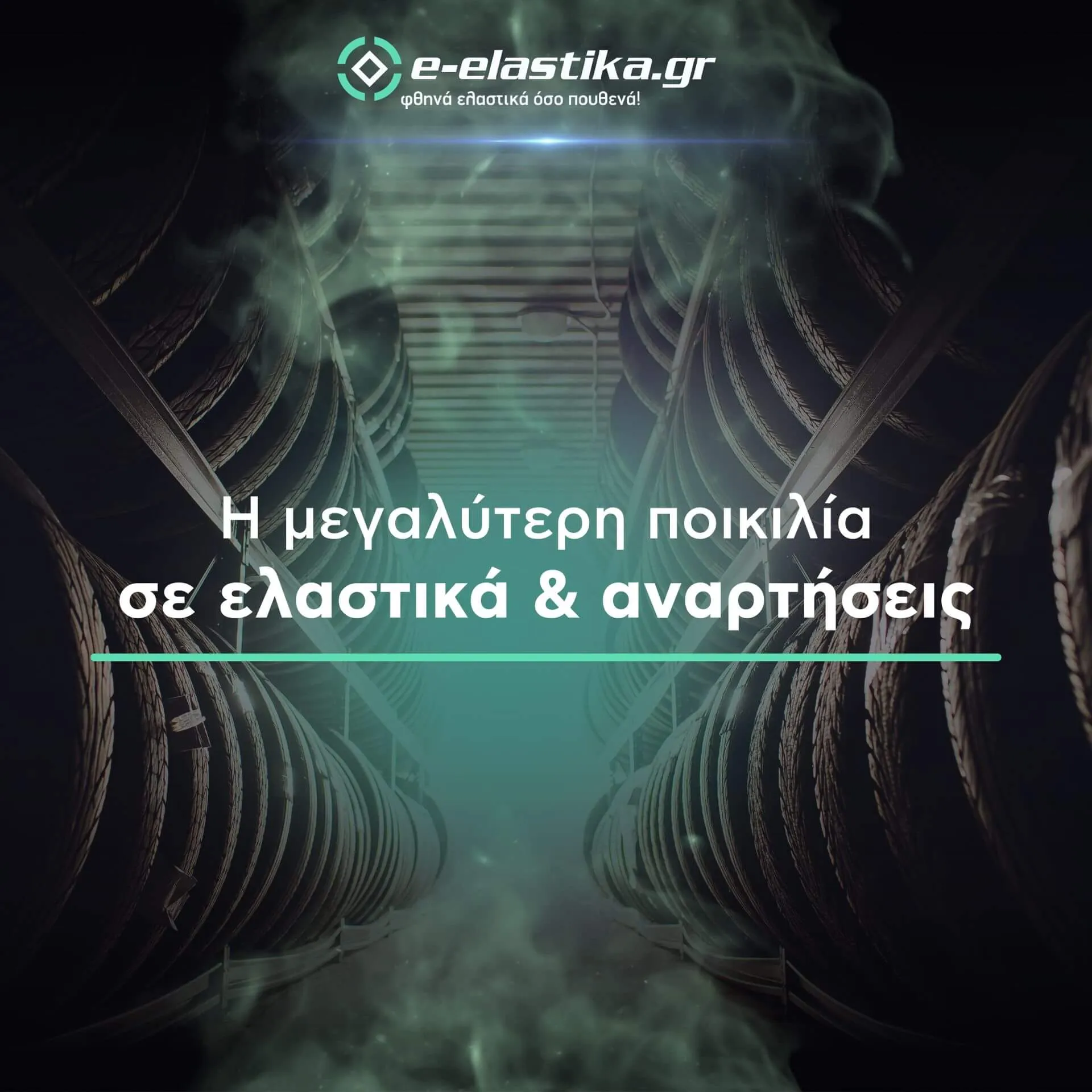 Amortiser Bnr E Elastika